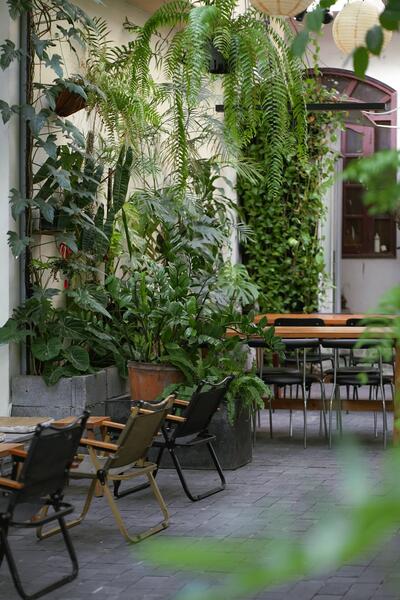 CAFE XUÂN VŨNG TÀU: GÓC XANH YÊN BÌNH GIỮA LÒNG THÀNH PHỐ